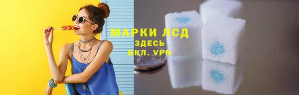 гашик Билибино