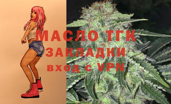спиды Бикин